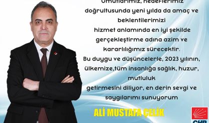 Ali Mustafa Çelik'ten yeni yıl mesajı