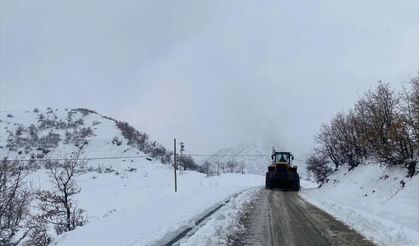 SİİRT - Pervari ve Şirvan ilçelerinde 12 köye ulaşım sağlanamıyor