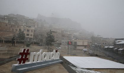 Bingöl ve Mardin'de kar etkili oldu
