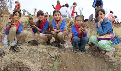Elazığ'da Cumhuriyet'in 100. yılı dolayısıyla 10 bin fidan toprakla buluşturuldu