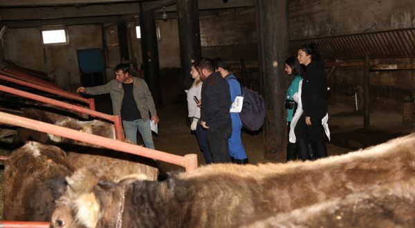 Atatürk Üniversitesi hayvan sağlığı hizmetlerini besicilerin ayağına götürüyor