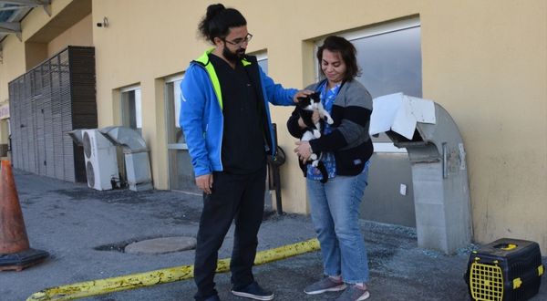Bitlis'te sağlık çalışanlarının sahiplendiği kedi tedavi altına alındı