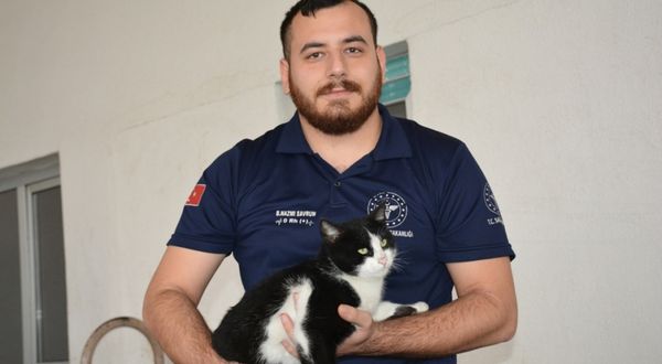Bitlis'te sekerek acil servise giden kediye hastane personeli sahip çıktı