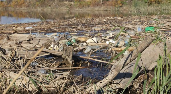 AYDIN - Büyük Menderes Nehri'ndeki kirlilik araştırılıyor