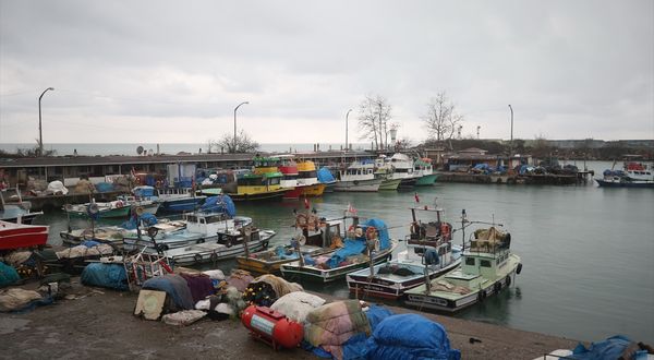 DÜZCE - Batı Karadeniz'de havaların soğuması balık avcılığındaki hareketliliği artırdı