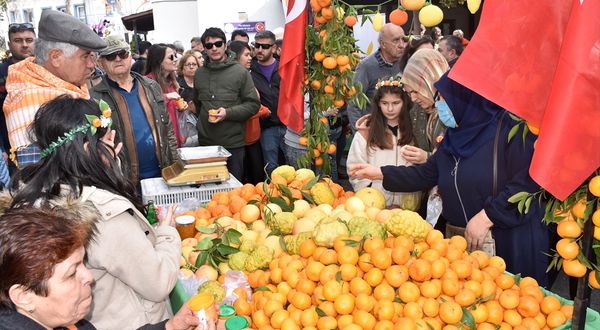 MUĞLA - Bodrum'da "Sadece Mandalin Festivali" düzenlendi