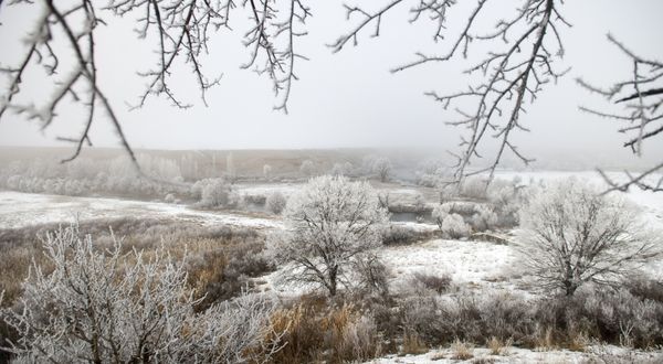 Tunceli'de ağaçlar kırağı tuttu, karlı dağların zirvesi sisle kaplandı