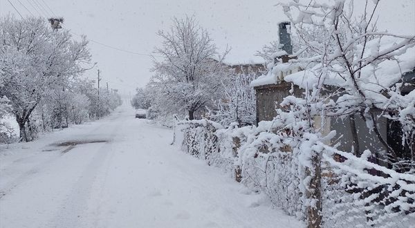 KARS - Sarıkamış'ta kar ve sis etkili etkili oluyor