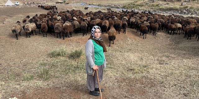 BİNGÖL - Islah projesi Bingöllü koyun yetiştiricisi kadınların verimli üretim yapmasını sağladı