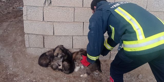 Van'da kuyuya düşen 6 köpek yavrusunu itfaiye ekipleri kurtardı