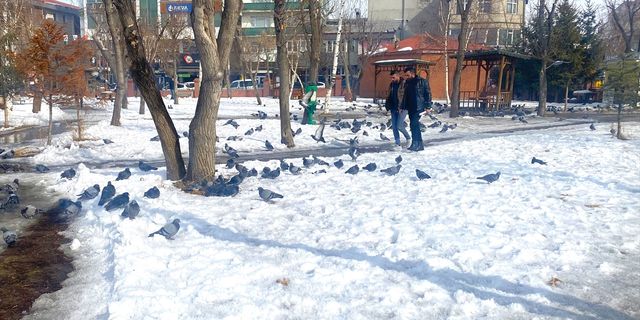 ARDAHAN - Soğuk hava etkisini sürdürüyor