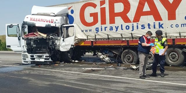 Bingöl'de tırla çarpışan kamyonetin sürücüsü öldü