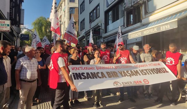 FEDAŞ işçileri direnişlerinin 24. gününde: Ölmemek için mücadele ediyoruz