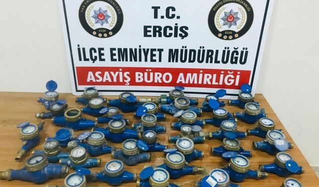 Van'da asayiş operasyonlarında yakalanan 21 kişi tutuklandı