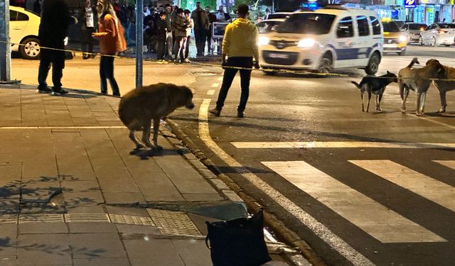 Şüpheli çanta paniği, çantanın sahibinin gelmesiyle son buldu