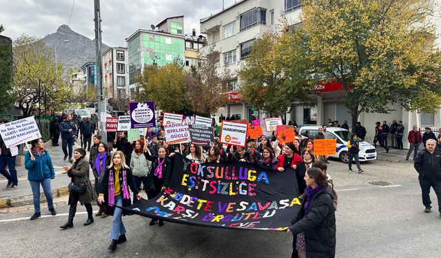 Dersim’de kadınlar 25 Kasım’da bir olup meydanlara indi: ‘şiddete hayır’ dedi