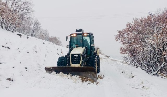 Dersim’de etkili kar yağışı: 50 köy yolu ulaşıma kapalı