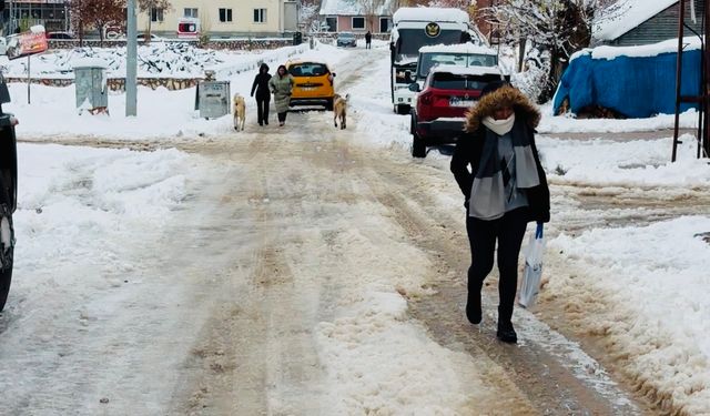 Çetin kışın geçtiği Ovacık’ta ‘erken yağan kar’ sevinci