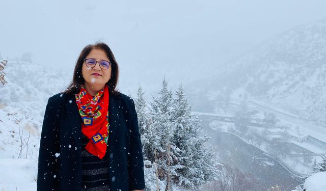 Milletvekili Ayten Kordu’dan yeni yıl mesajı