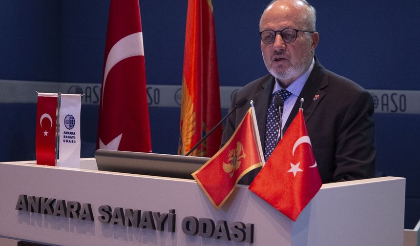 ANKARA - ASO'da "Türkiye-Karadağ İş, Hukuk ve Yatırımlar Programı" düzenlendi