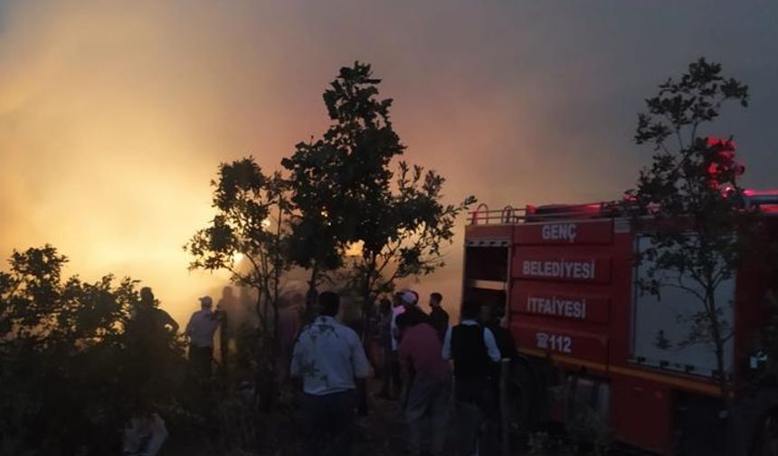 Bingöl'de besi çiftliğinde çıkan yangın hasara yol açtı