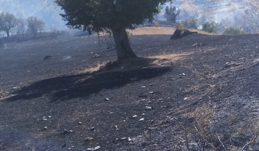 Malatya'da ormanlık alan yangında zarar gördü
