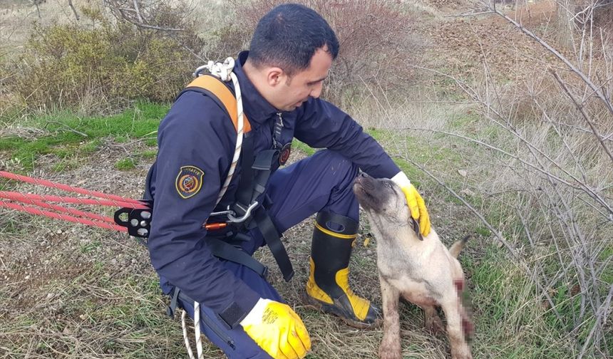 Malatya'da kuyuya düşen köpeği itfaiye kurtardı