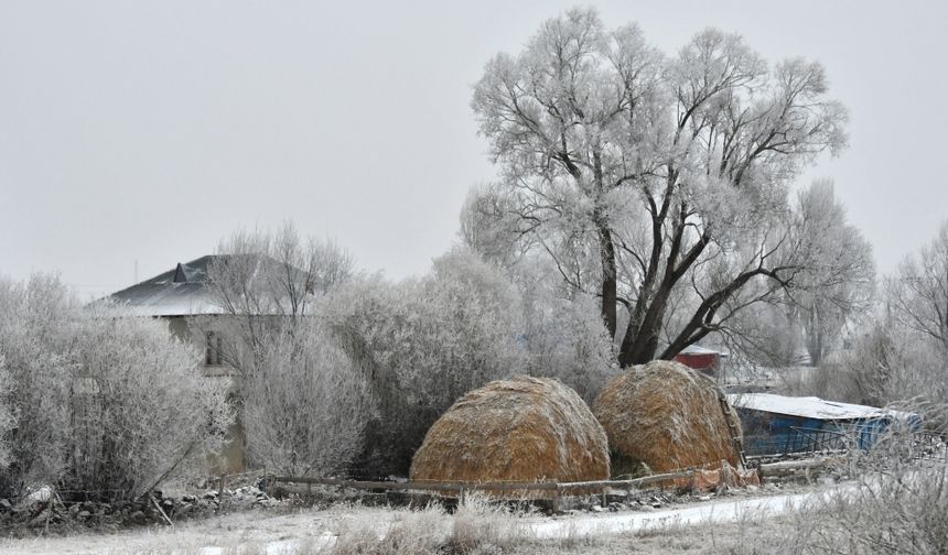 Kars'ın Sarıkamış ilçesinde kar, soğuk hava ve sis etkili oldu