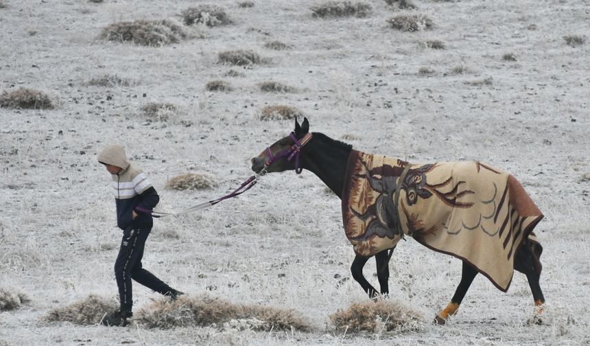 Kars'ta davul zurnalı "dörtnala at yarışı" düzenlendi
