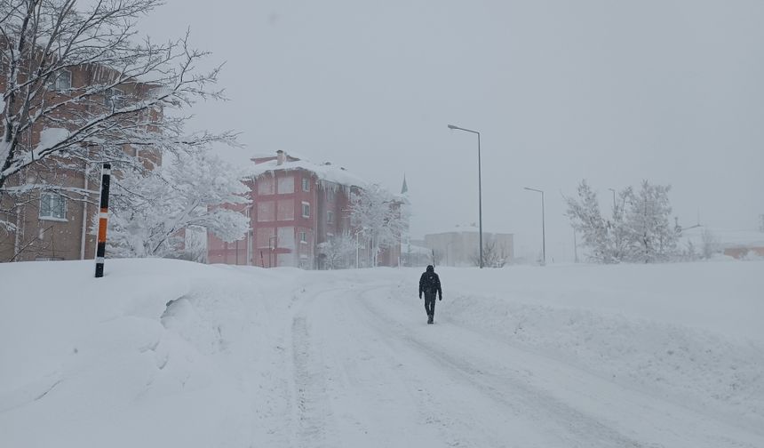 Tatvan'da kar etkili oluyor