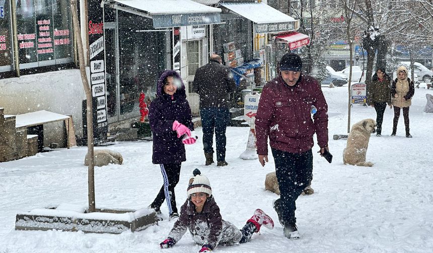 Kar yağışı etkisini sürdürüyor: 255 köy yoluna ulaşım sağlanamıyor