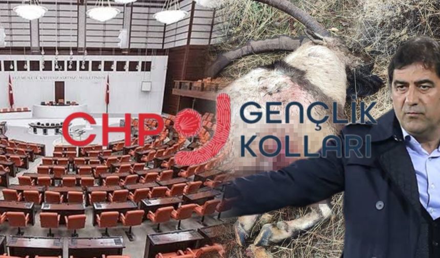 CHP Gençlik Kolları’ndan dağ keçisi katleden milletvekili ile ilgili meclise mektup