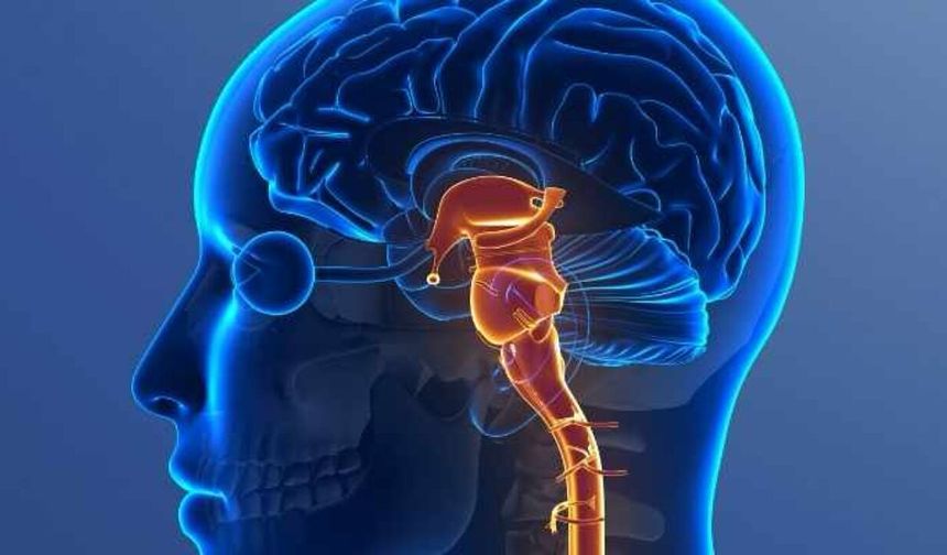 Kuzey’e ‘vicdanlılar’ umut oldu