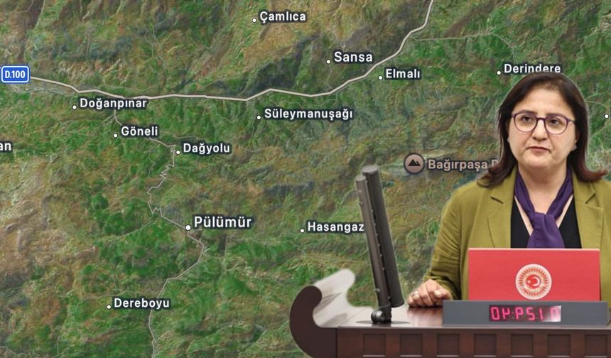 Milletvekili Kordu: Pülümür’ün doğası enerji rantına kurban ediliyor